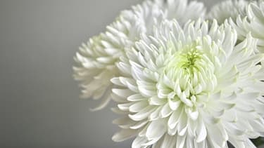 成道会（じょうどうえ）とは？12月8日の意味・由来・お寺で行われる行事をわかりやすく解説