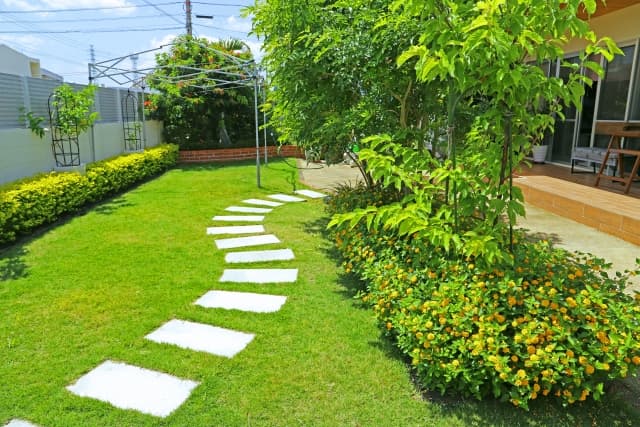 庭木の伐採で後悔しないために｜費用相場・危険性・業者選びを終活目線で分かりやすく解説