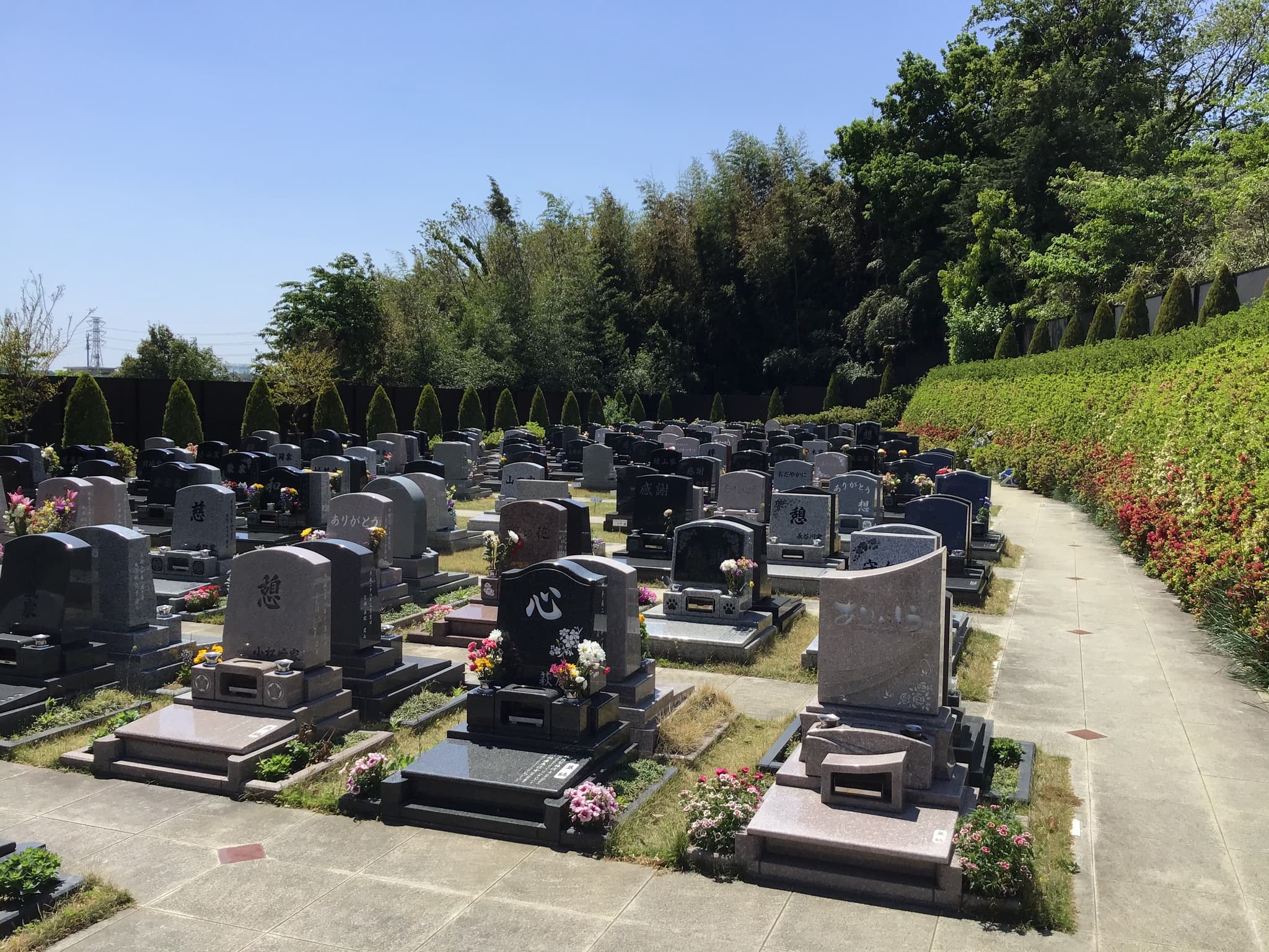 一般墓