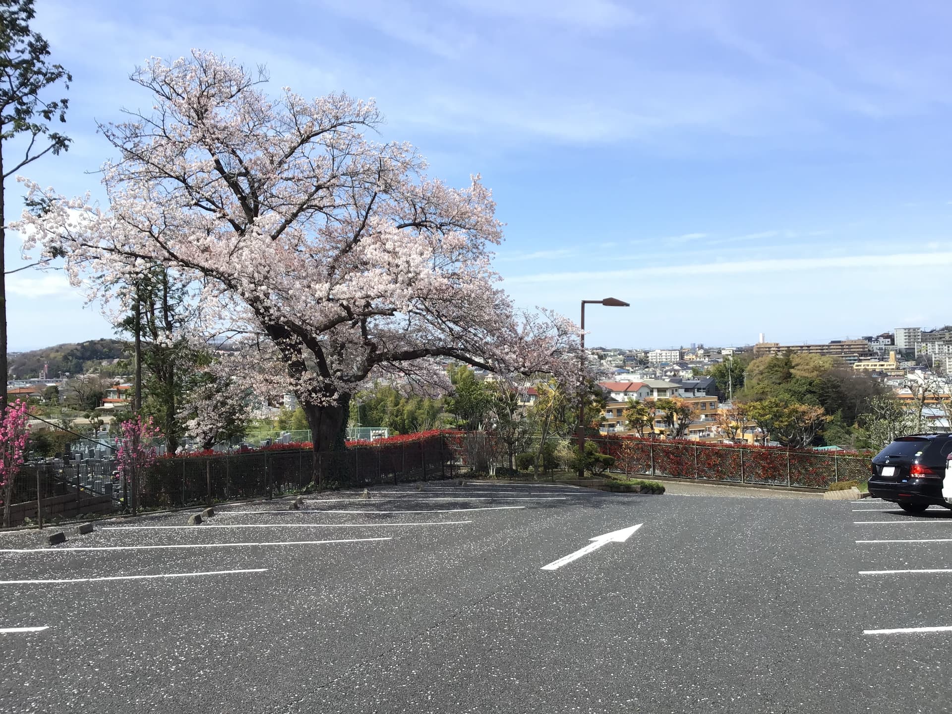 春秋苑の費用・アクセス　資料請求