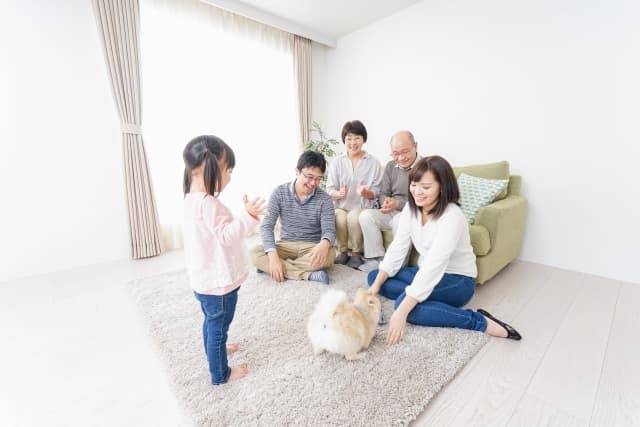 ペットのお盆供養は人と同じでいいの？違いや準備、初盆の迎え方をやさしく解説