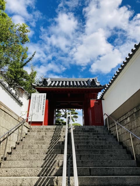 「一心寺納骨」と「永代供養」の違いとは？選び方のポイントを解説