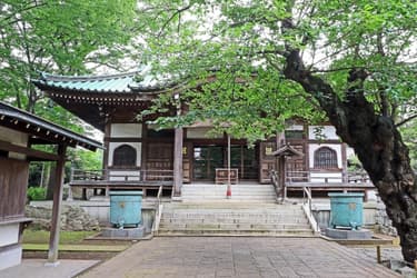 【仏教の主要な宗派⑥】日蓮宗について解説！