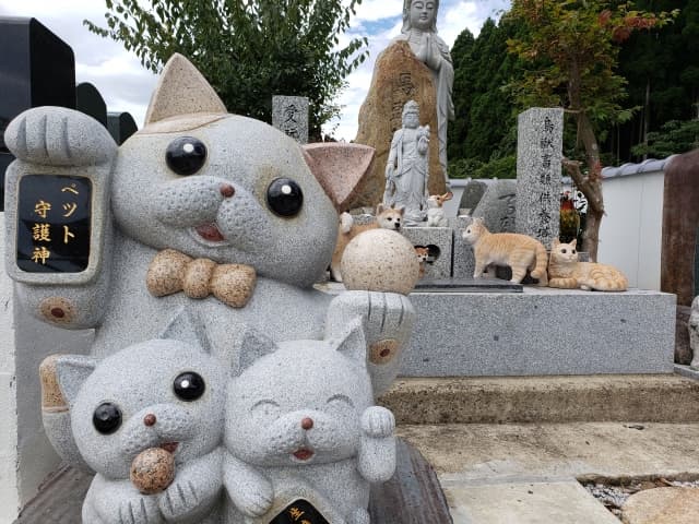 ペットと一緒に入れるお墓とは？お墓選びの注意点や親族との話し合いまで徹底解説