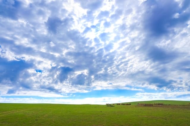 永代供養とは？意味や費用相場、メリット・デメリットを解説