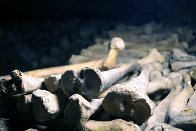 遺骨を食べる風習がある？現代に適した故人とのつながり方とは