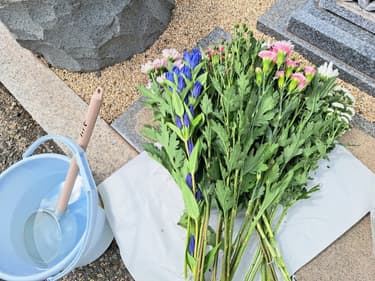 墓地の購入方法とは？購入先・流れ・費用・選び方を丁寧に解説