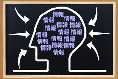 納骨堂の基本情報と選び方ガイド