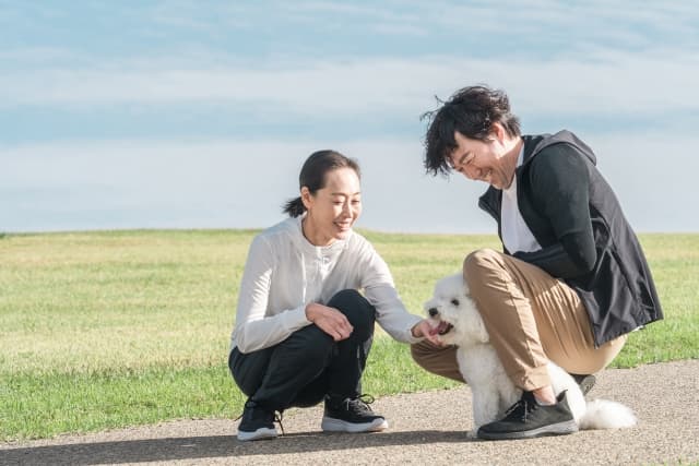 ペットのお墓はどうする？様々な選択肢を比較しよう！