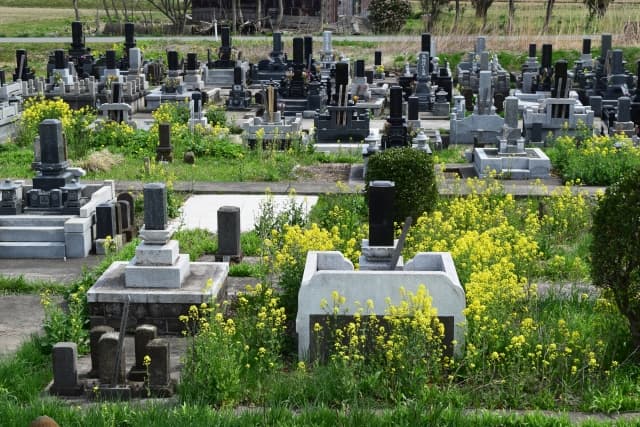 低価格霊園！選ぶ際のポイントとおすすめ