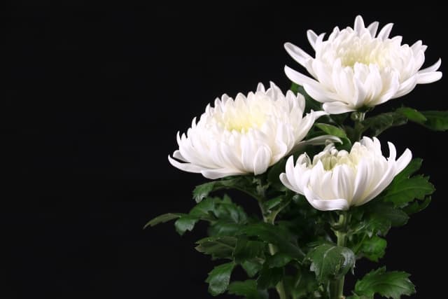 喪中の過ごし方完全ガイド：意味や年末年始の過ごし方について