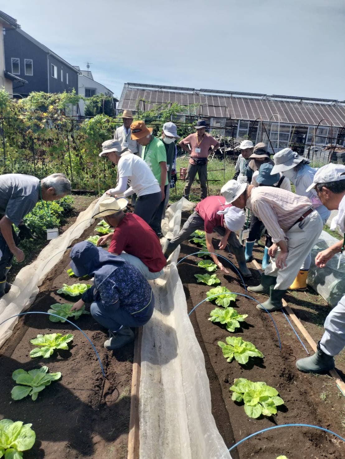 ふなばし市民大学校　活動風景