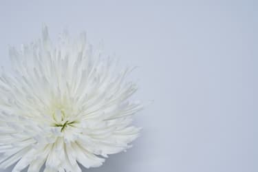 初めての弔電ガイド｜送り方・文例・マナーをわかりやすく解説