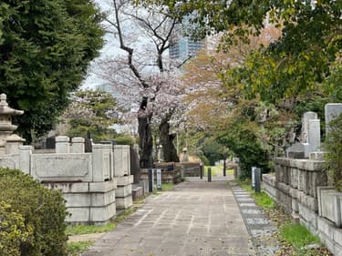 都立霊園はなぜ当たらない？高倍率の理由と外れた時の選択肢