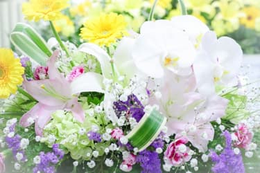 供花へのお返しは必要?時期・相場・品物・お礼状まで失礼のない対応を解説