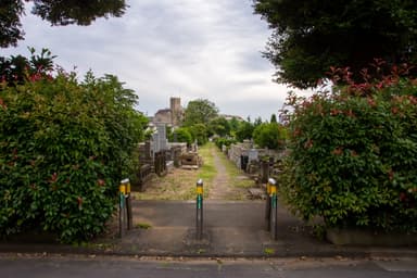 2025年最新版|都立霊園申込の流れと費用比較で後悔しない選び方