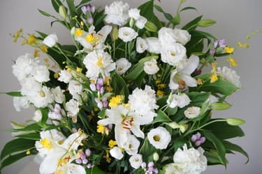 葬儀にはどんな種類の花があるの?供花におすすめの花もご紹介