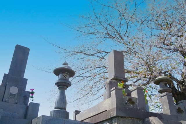お墓・墓地・霊園・墓所の違いとは?用語の整理と使い方の例を徹底解説