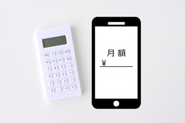 お墓の管理費はいくらかかる?月額・年間費用の相場と支払いの注意点を解説