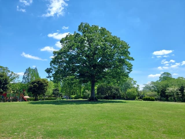 散骨を低価格で!おすすめサービス3選